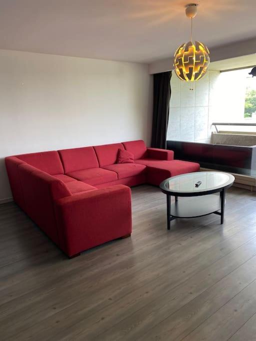 Big Apartment With Parking In Антверпен Екстер'єр фото