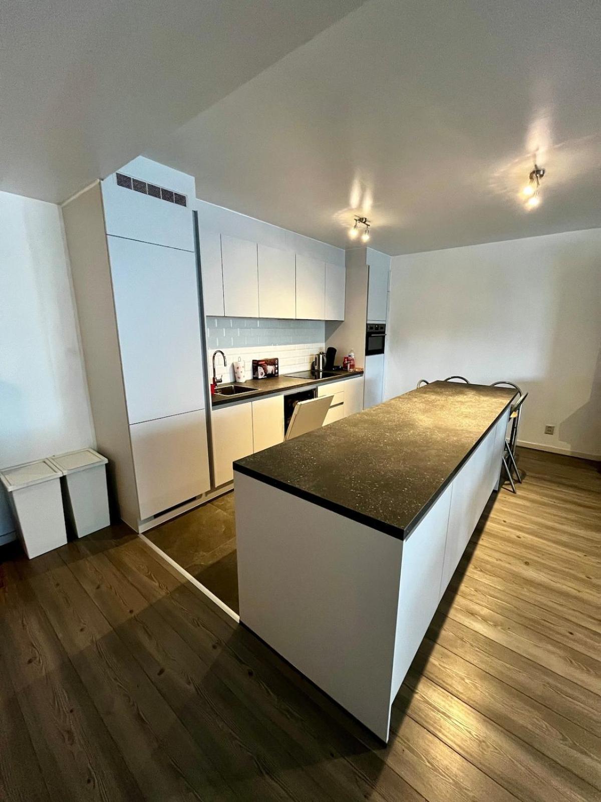 Big Apartment With Parking In Антверпен Екстер'єр фото